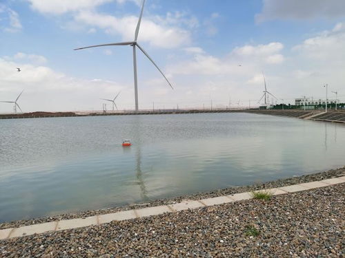 智慧漁業(yè) 水質(zhì)監(jiān)測守護(hù)藍(lán)色生態(tài)，協(xié)同飼料銷售驅(qū)動(dòng)產(chǎn)業(yè)升級(jí)